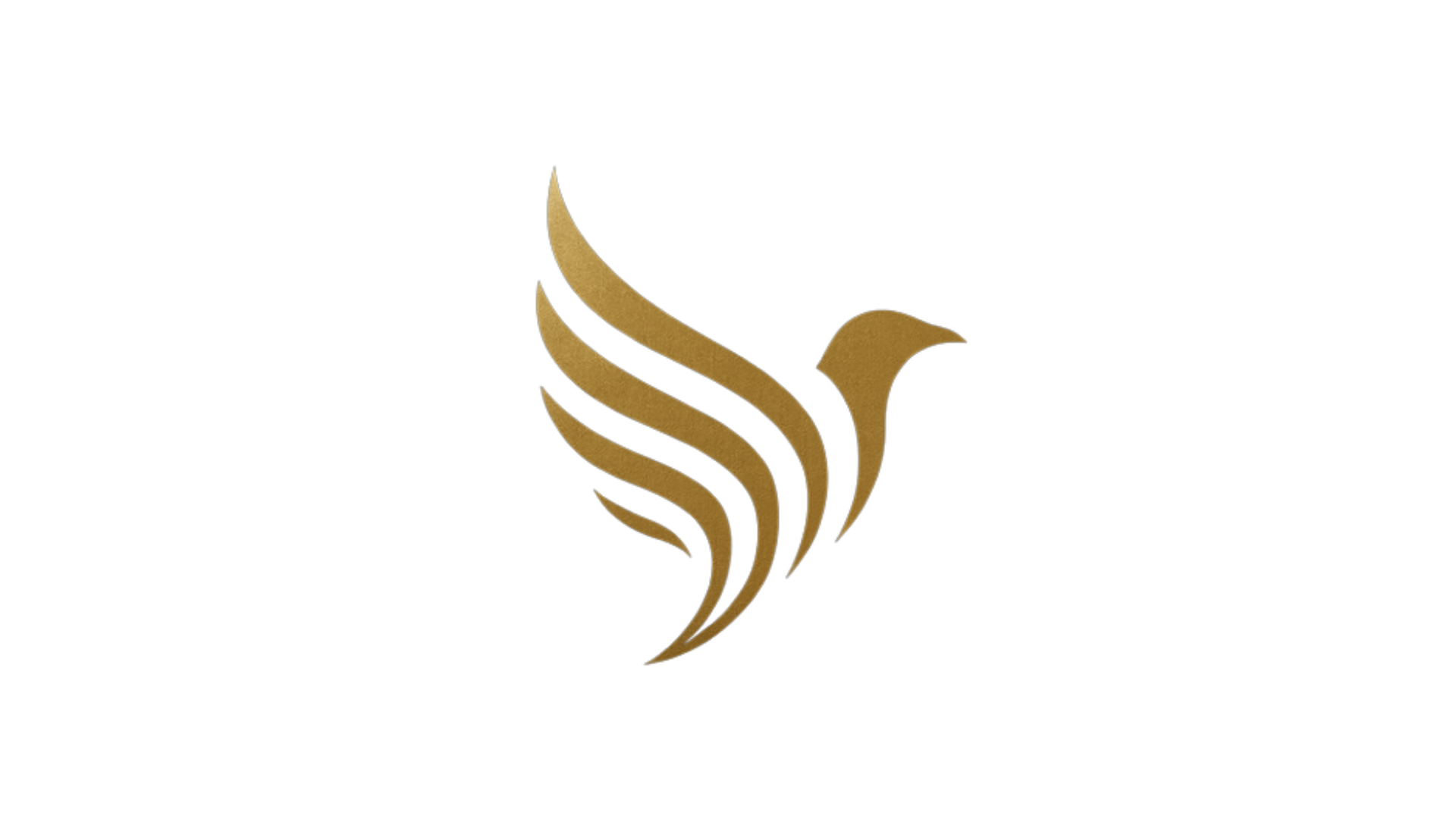 Caberg Asset Management
